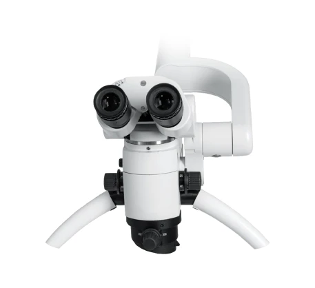 mic
